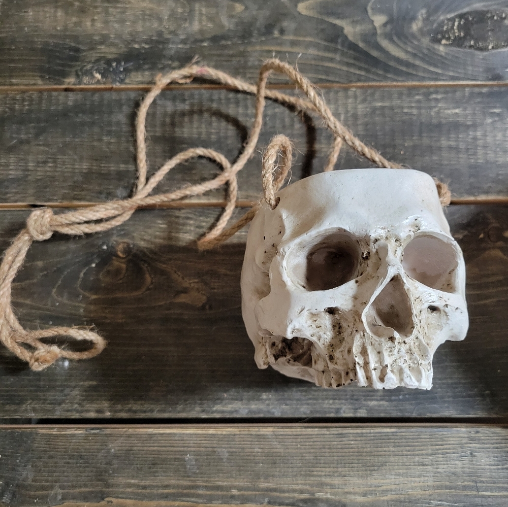 Skull Planter with Rope Hanger